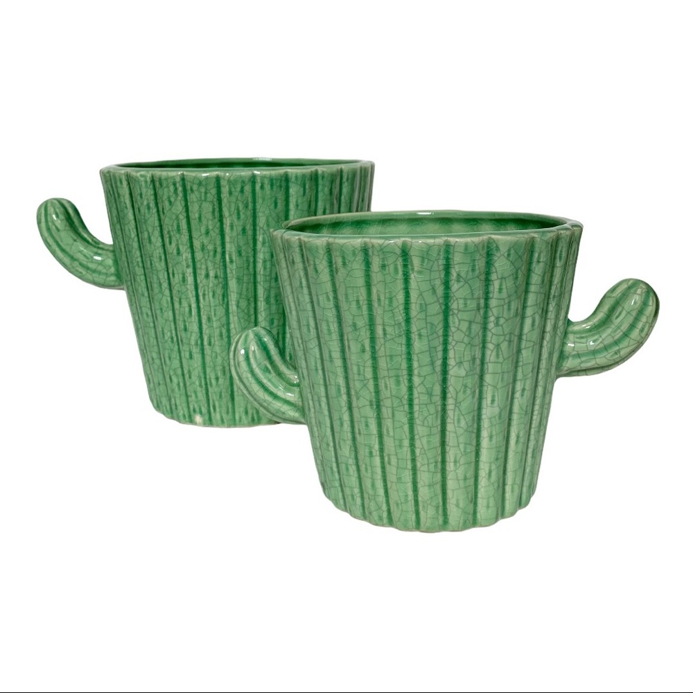 Set of Two Green Cacti